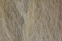 olivová blond 16
