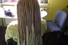 open rasta Praha