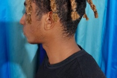 fake dready