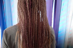 blond senegalese twists